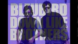 bleubird 'Down Like Brothers' (LAZERBEAK REMIX)