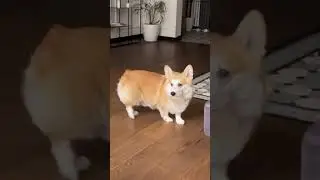 Отпусти, тебя я умоляю 😂😂😂
