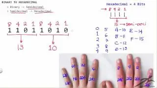 How to convert from Binary to Hexadecimal - Finger Subnetting Method #4