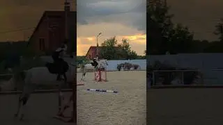 ✈️💓 #лошади #horse #horsejumping #equestrian #лошадь #jumping #eq #спорт