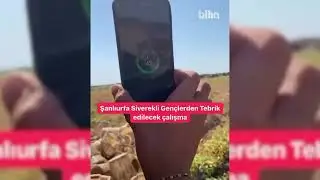 Sosyal medya Urfalı bu çocuğu konuşuyor!