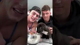 Puppycino