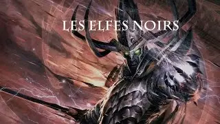 Warhammer [FR]: Lore : Les Elfes Noirs !