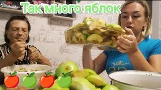 Vlog# 354 We are sitting without WATER💦 HELP administration🙌 So MANY apples 🍏🍎🍏🍎 Where to put the...