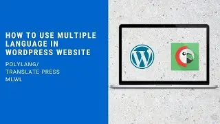 How to use Multiple language in wordpress Using Polylang