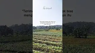 Mengontrol Segalanya? #quotes #motivasi #katakatabijak #shortsvideo #shorts #short #quote #sukses