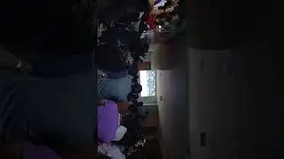 Pakistan vs Australia match highlights