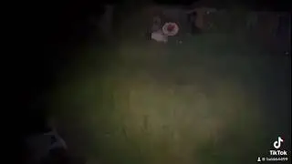 #и