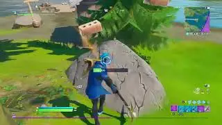 Fortnite for fun