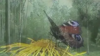Понять себя