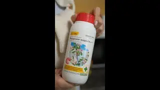 Весенняя обработка сада от парши и других болезней