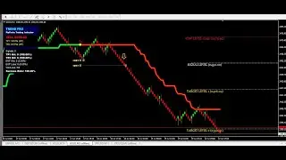 الدرس السادس انطلق نحو الاحترافية بنسبة نجاح وصلت 100% فى الفوركس رينكو شارت RenkoCharts