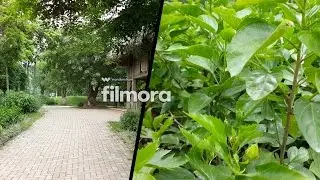Wondershare Filmora Video-Editing App - 4K Video Sample
