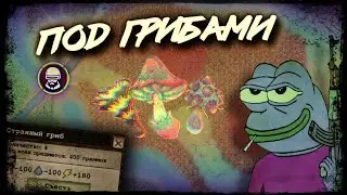 Day R: Про странные грибы🧐