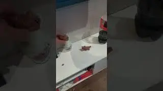 11 августа 2024 г.