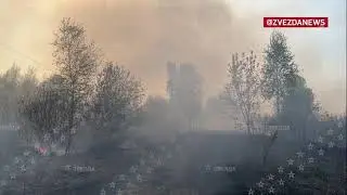 Стендап