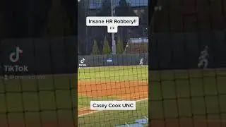 Insane HR Robbery 🤯
