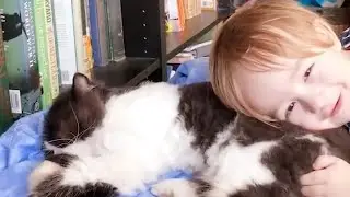Baby And Cat Fun And Cute #6 - Funny Baby Videos