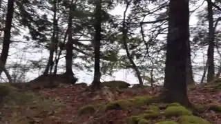 Olmstead Lake Lot