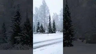 3 ноября 2024 г.