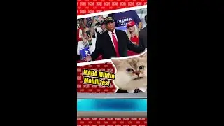 Election SHOWDOWN; Trump-Harris Battle HEATS UP!