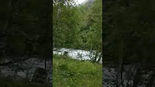 Берёзы.Речка.