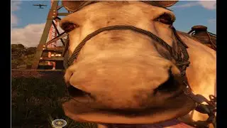 playing Far Cry 6 be like