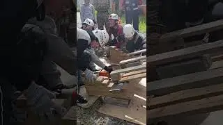 соревнования Школа безопасности 