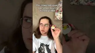 Всё равно через пару минут там же окажется… #котики #прикол #жизненно