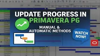 How To Update Progress In Primavera P6 || Update Project Schedule in 2020 || [Latest Primavera P6]