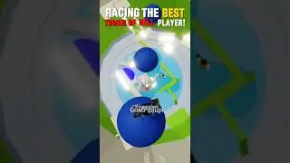 I raced the *BEST* Tower of Hell player! 👑