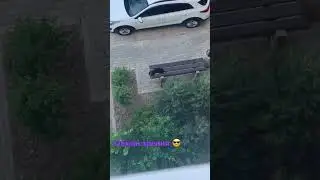 Как такое возможно 😧???Как???? Кто может объяснить???? Шок 😮