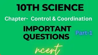 Important Questions #10thScience #10thBiology #Control&Coordination #soniakaushik #kcbiozone