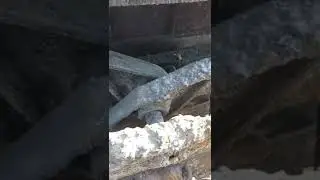 МУЖСКАЯ РАБОТА