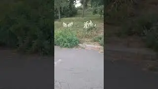 короткая притча о жизни праведной