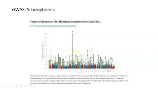 Genome-Wide Associate Studies (GWAS), Part 2