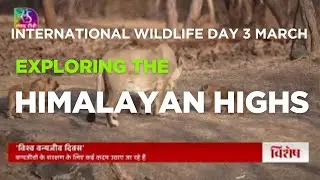 International Wildlife Day 3 March 2025