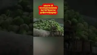 Нашли цивилизацию в холодильнике