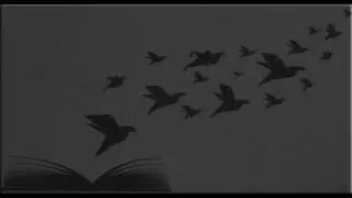 Aeon - Μπερδεμένο
