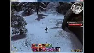 Copy of Guild Wars A-Me Vaettir Farm