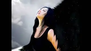 Ольга Ченская. Черная птица печаль