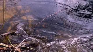 15 minutes of relaxation. Sound of Water