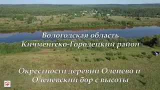 Окрестности деревни Оленево (Кичменгско-Городецкий район)