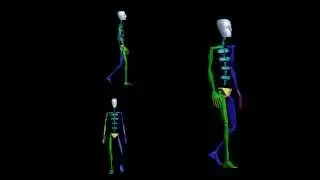 Athletic Male Standard Walk - 3ds Max Animation
