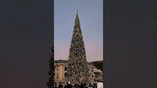 The first official tree lighting of the 2023 Disney holiday season at Disneyland!