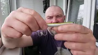 Приманки на жереха от RH lures.