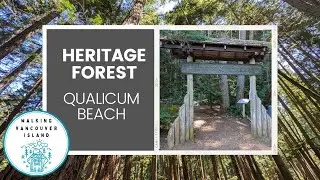 The True Story of Qualicum’s Heritage Forest: A Legacy of Land