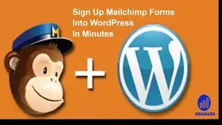 Learn in Less Than One Minute How to Add MailChimp Sign up and Pop up Form into WordPress