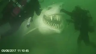 14 Most Chilling Things Ever Found by Deep Sea Divers