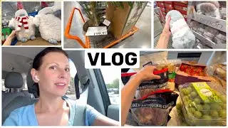 США Влог Закупка продуктов в COSTCO в Пустой холодильник Вот это повезло! Big big family USA VLOG